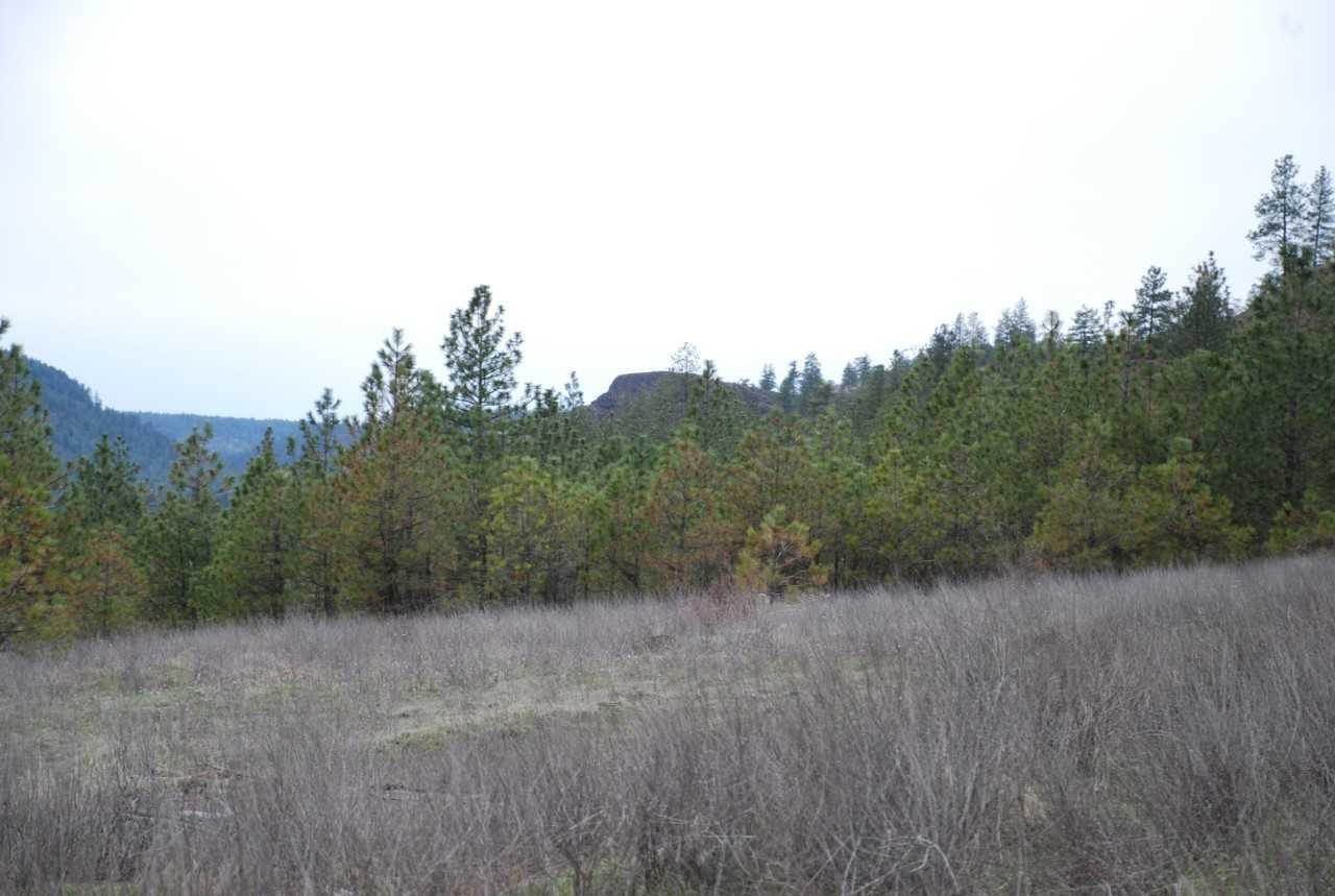 xxxx Four Mounds Rd - Photo 1
