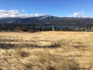 15XX Rickey Canyon Rd - Photo 1