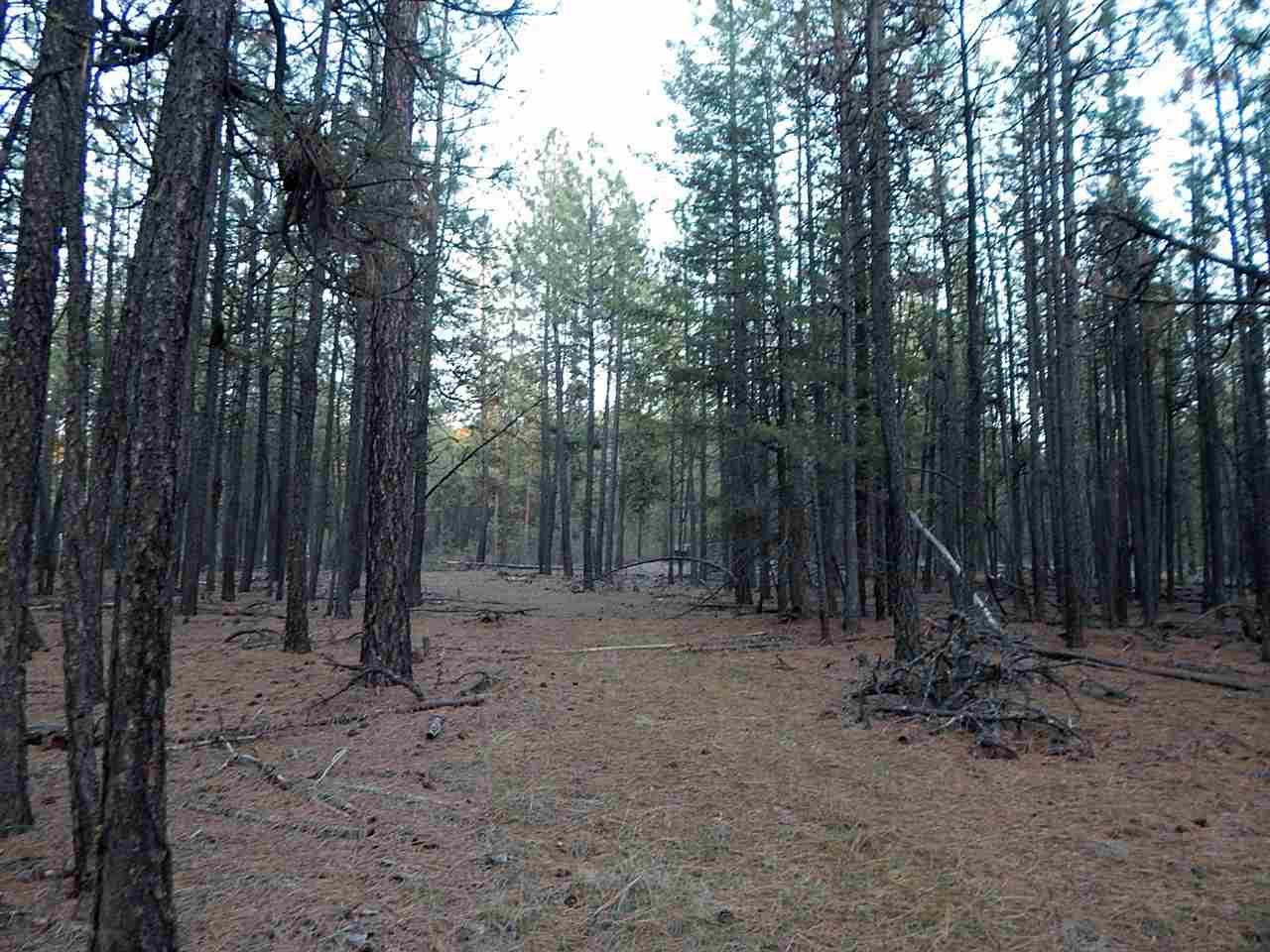 25717 Long Lake Rd - Photo 1