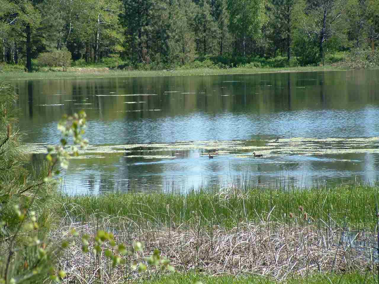 18312 Genni Rock Ln - Photo 1