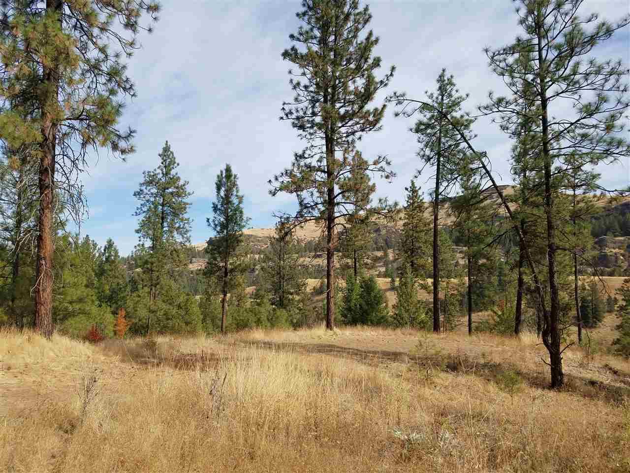 35402 Spruce Grouse Ln - Photo 1