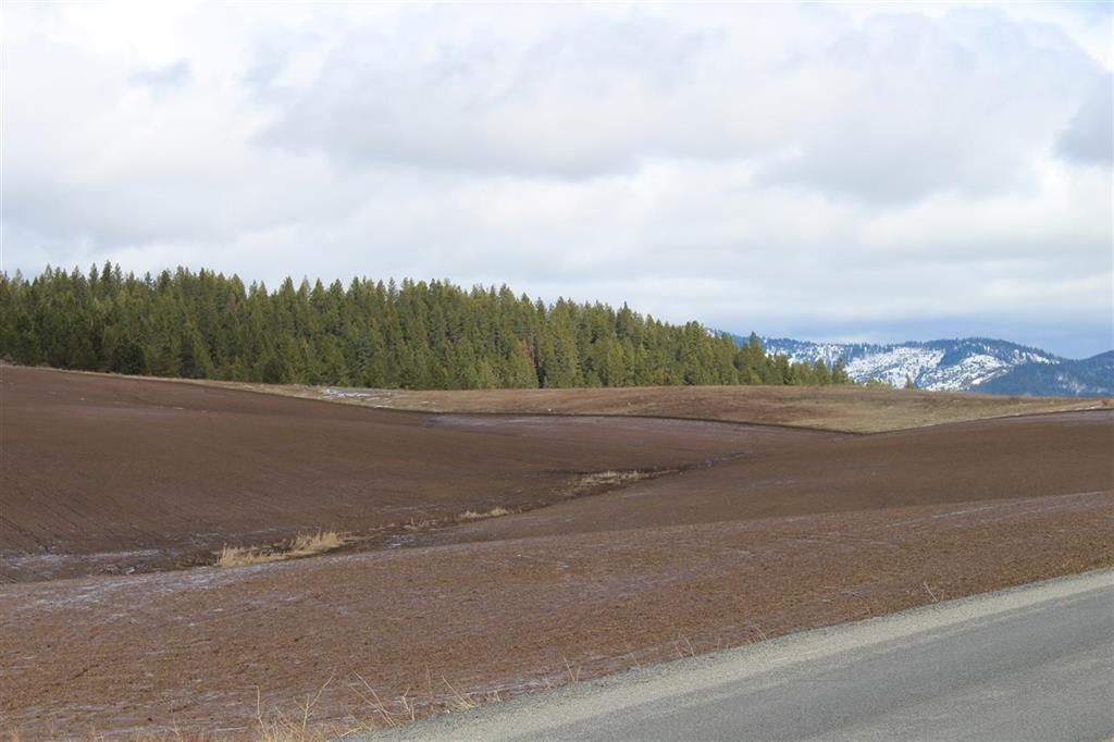 XXX Elder Rd - Photo 1