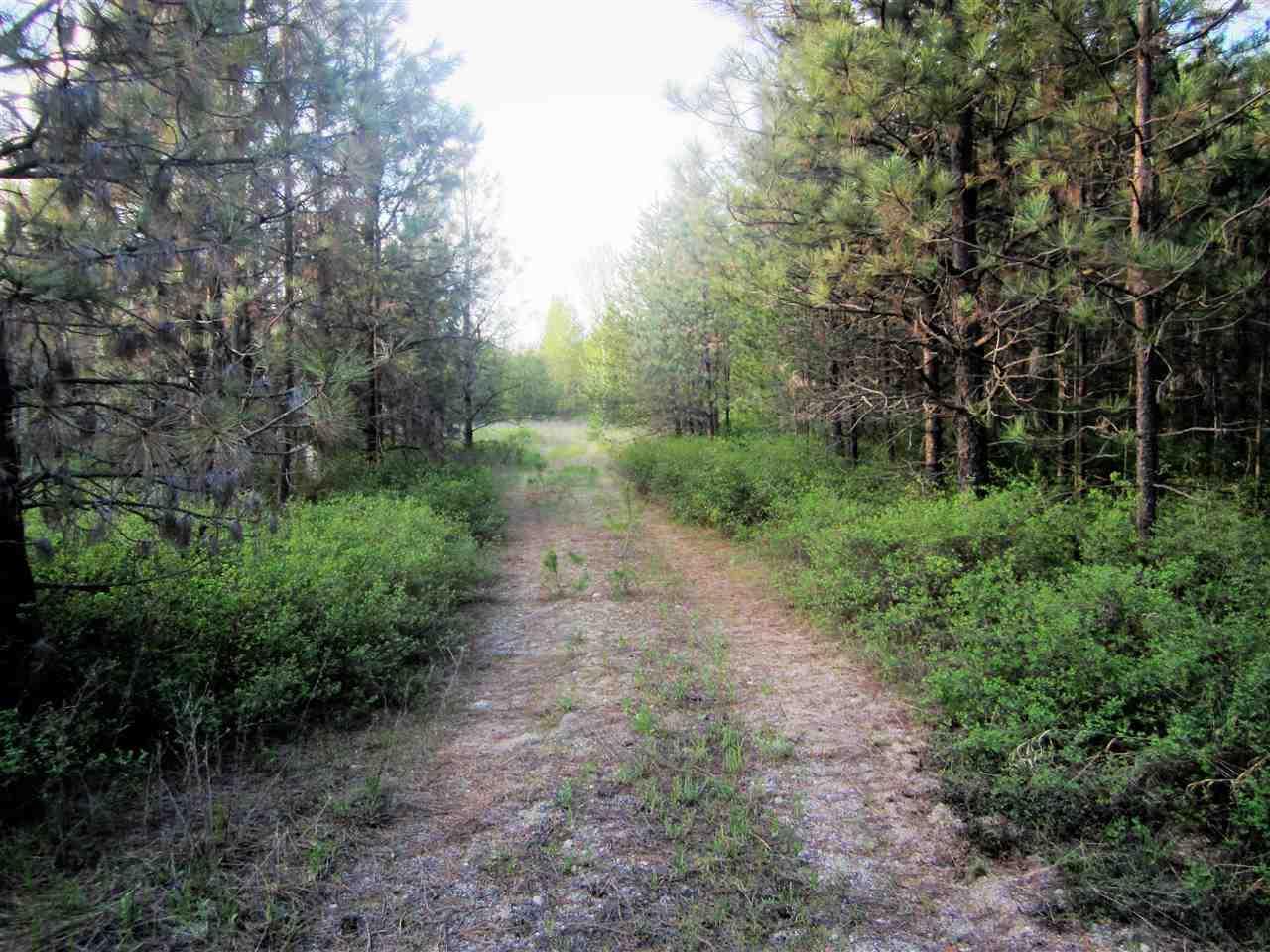 128XX Bridges Rd - Photo 1