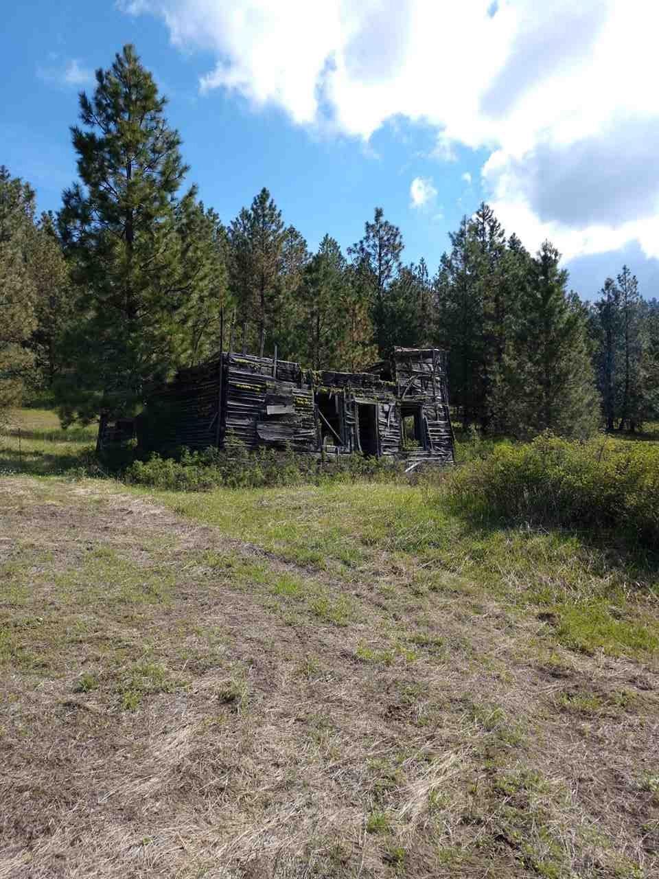 000 Lessig Rd - Photo 1