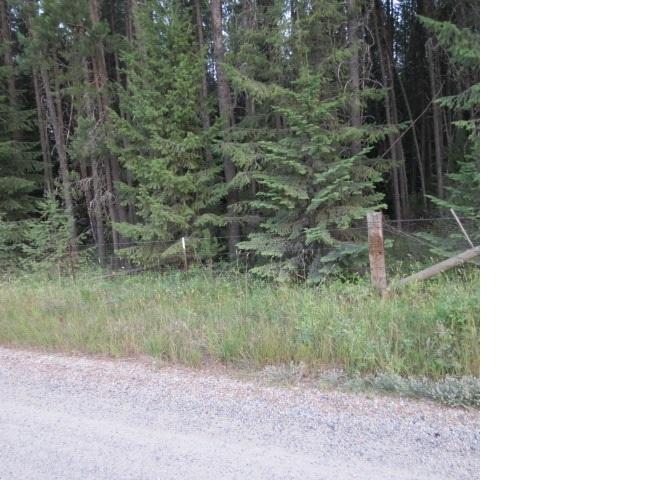 15102 Oregon Rd - Photo 1