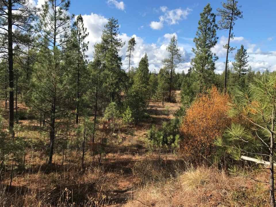 Lot 8 Woods Way - Photo 1