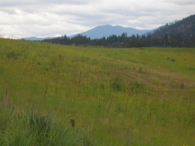 10XX Lot B Hwy 395 Hwy - Photo 1