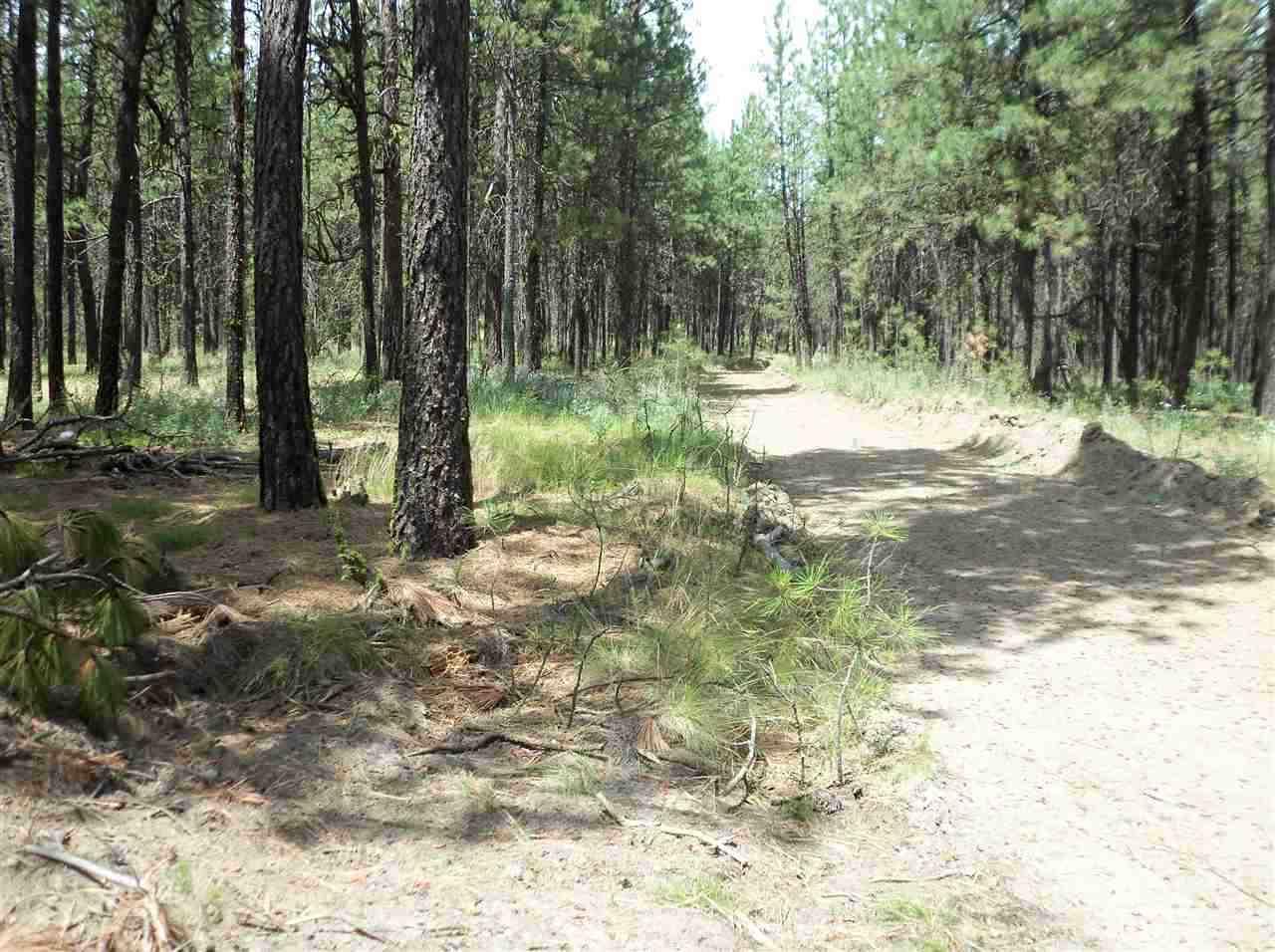 XX Mullen Hill Rd - Photo 1