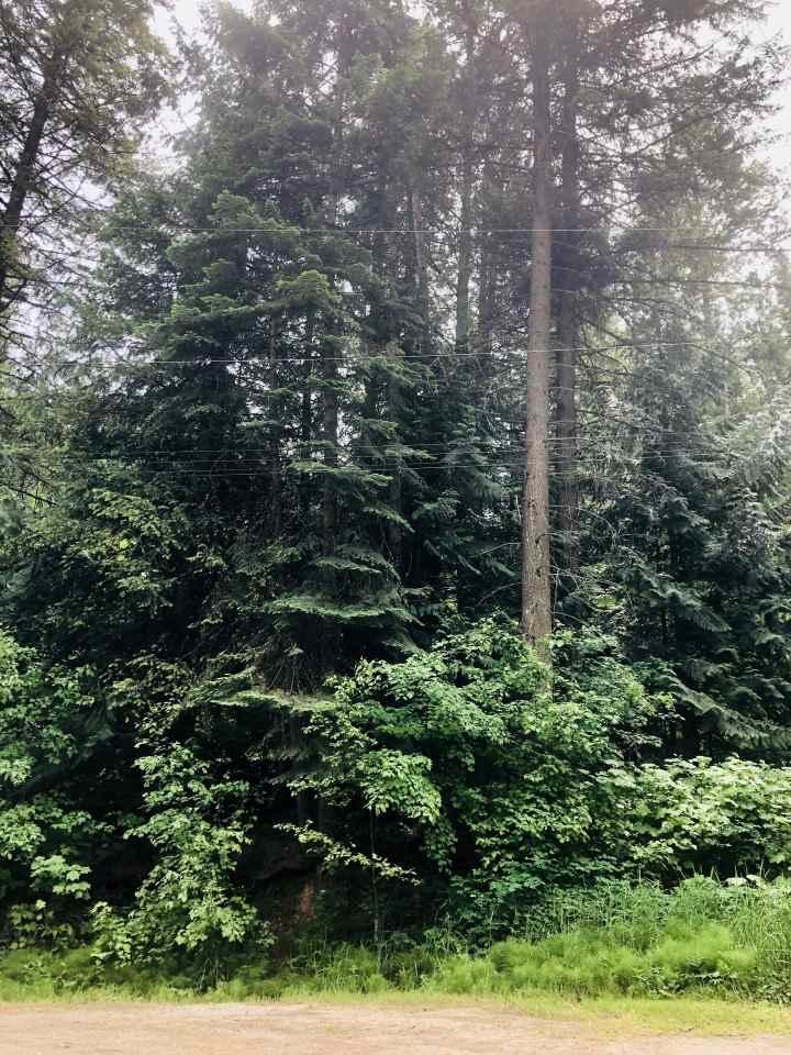 4067 Tamarack Bay Rd - Photo 1