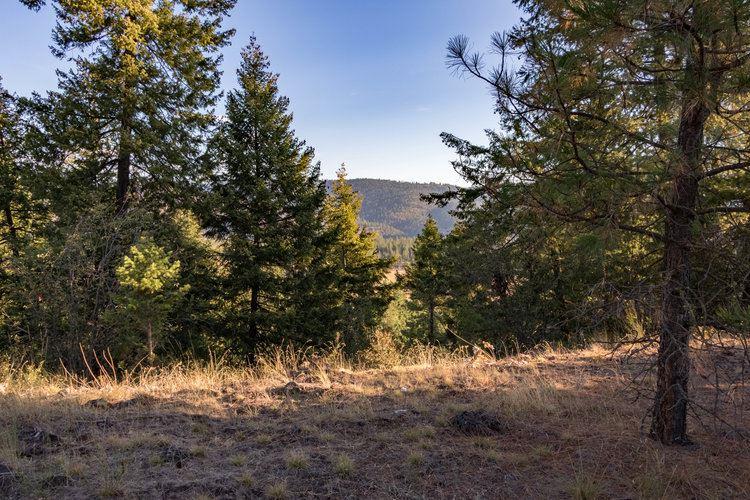 5718 Regina Ln - Photo 1