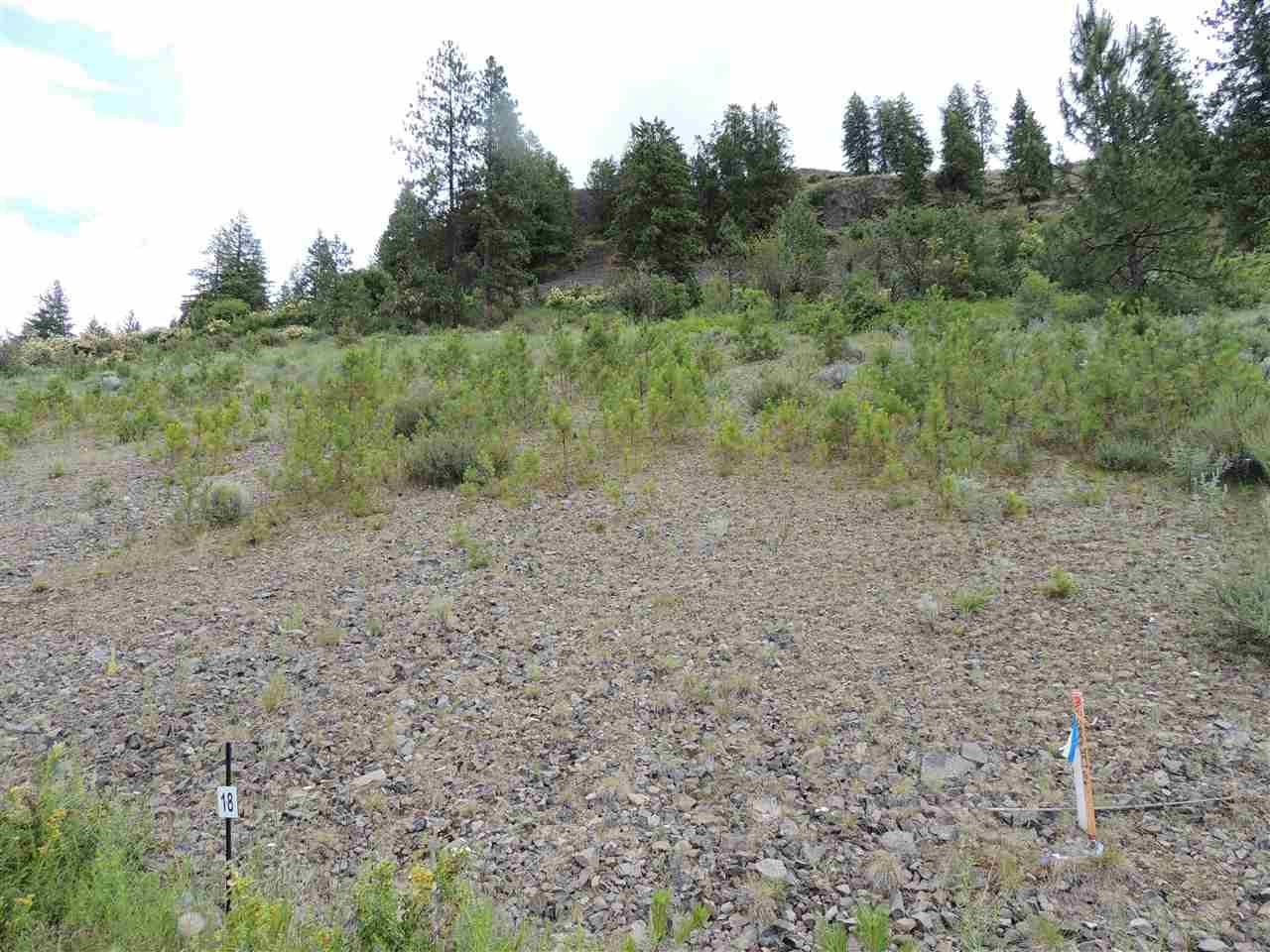 39531 Vantage Pt. N. - Photo 1