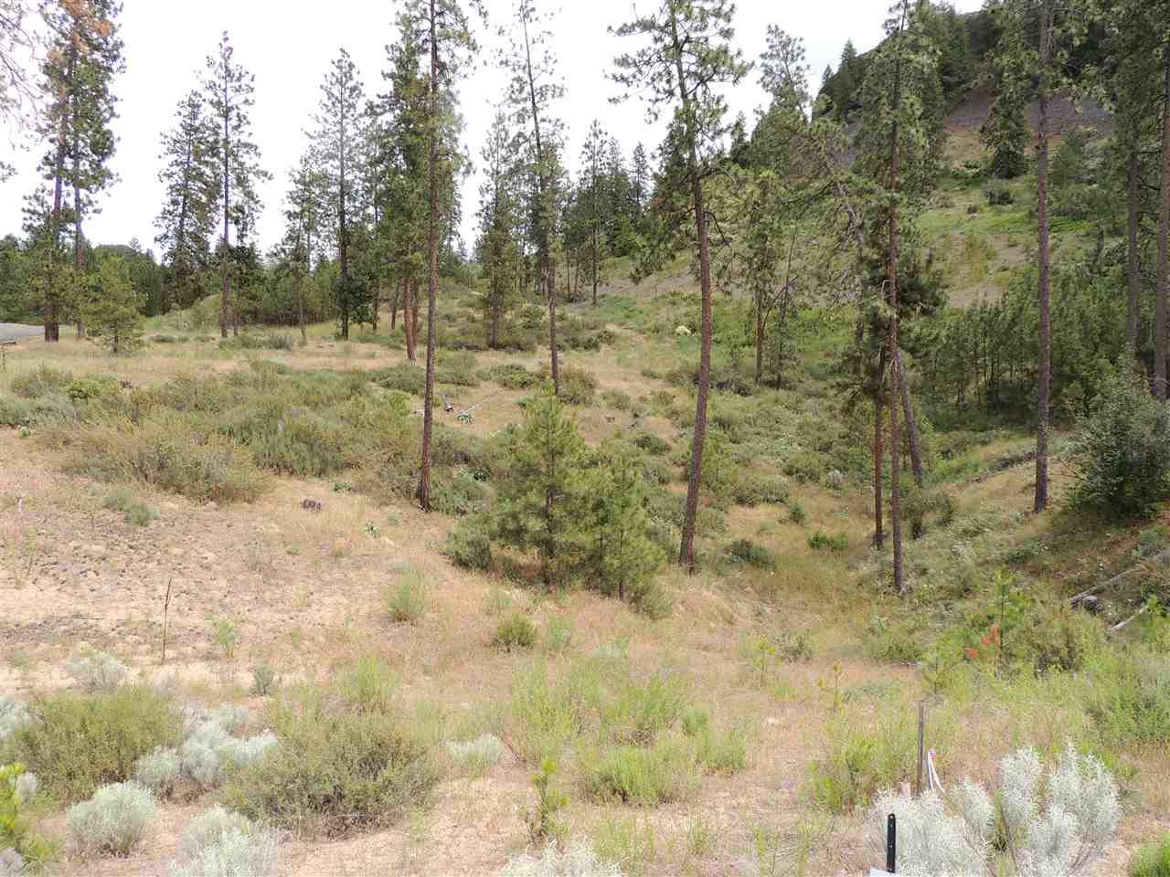 39550 Sun Ridge N. - Photo 1