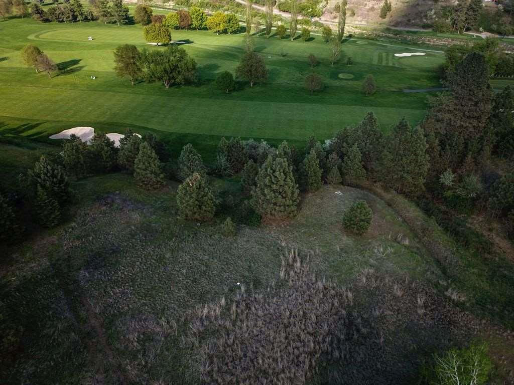 1817 Sunburst Ln - Photo 1