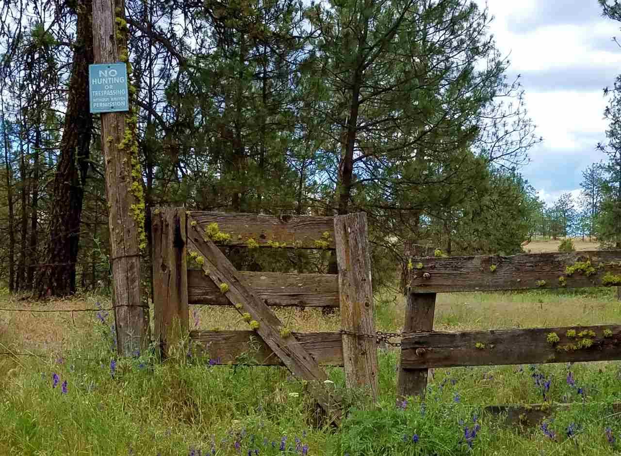 25000 Phillips Rd - Photo 1
