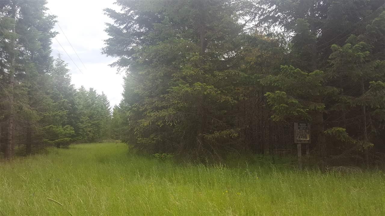 30950 Red Fir Rd - Photo 1