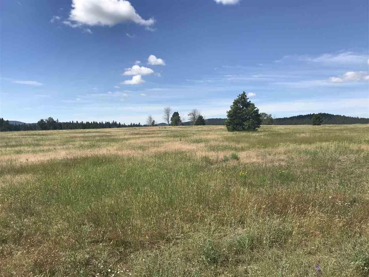 27517 B Monroe Rd - Photo 1