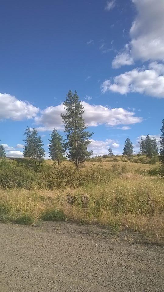 0001 Underwood Canyon Rd - Photo 1