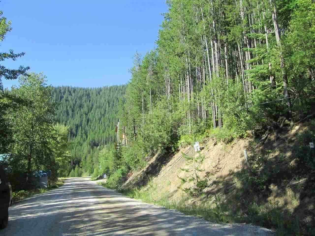 000 Kaniksu Rd - Photo 1