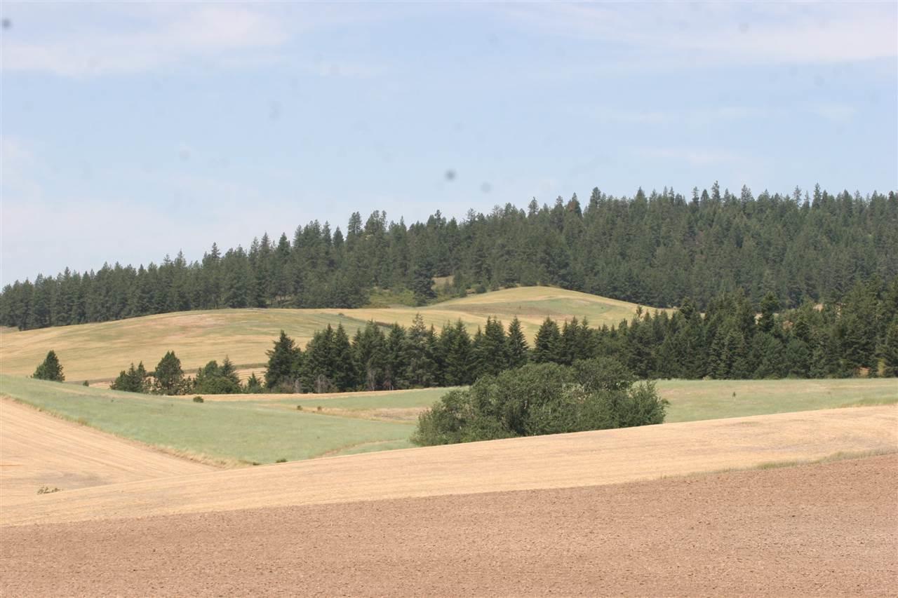 0 Elder Rd - Photo 1