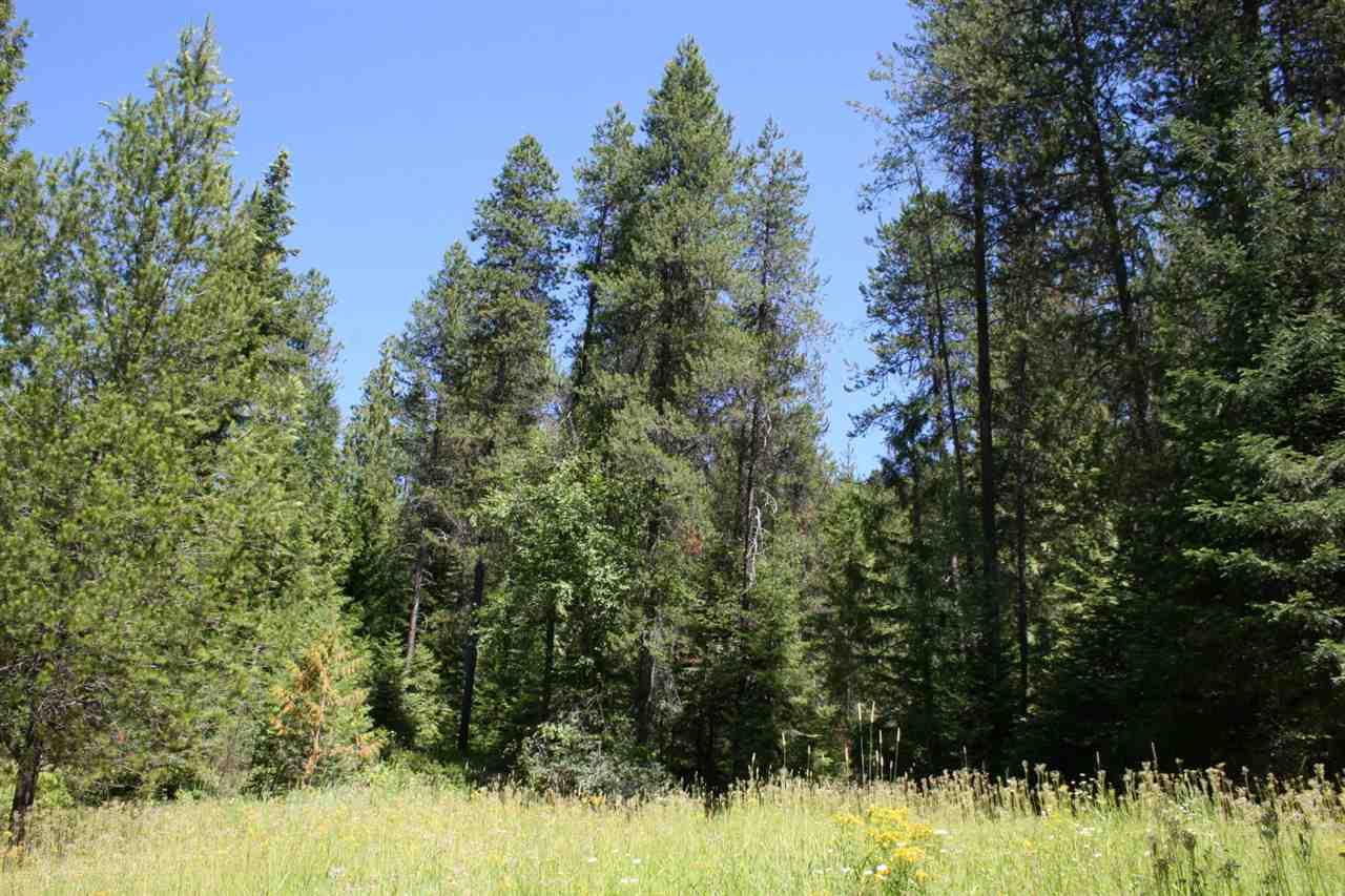 2266 Aladdin Rd - Photo 1