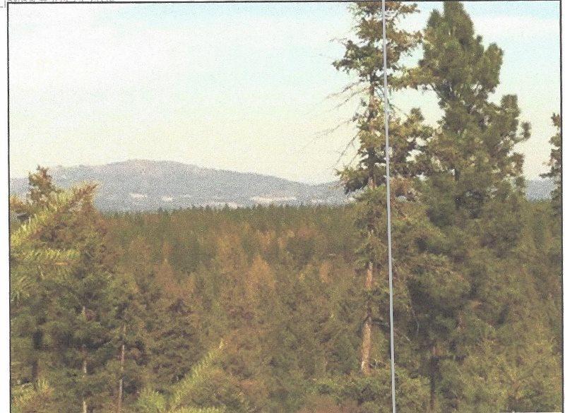Lot #35 North Park Ln - Photo 1