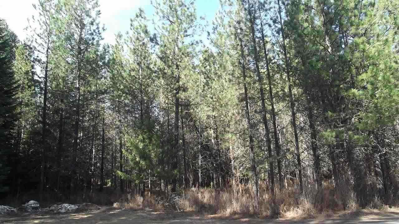 00 River View Rd - Photo 1