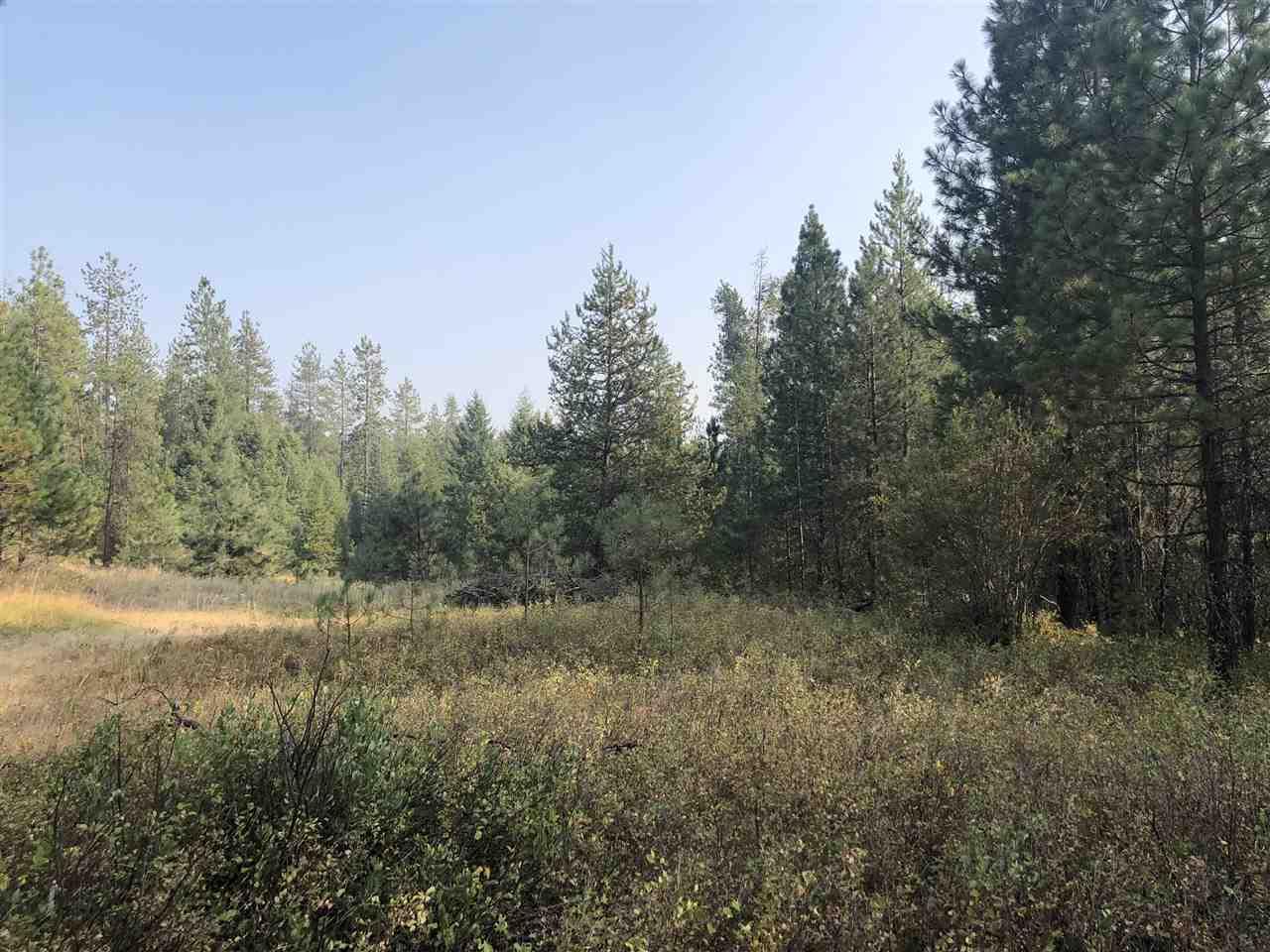 TBD Bridges Rd - Photo 1