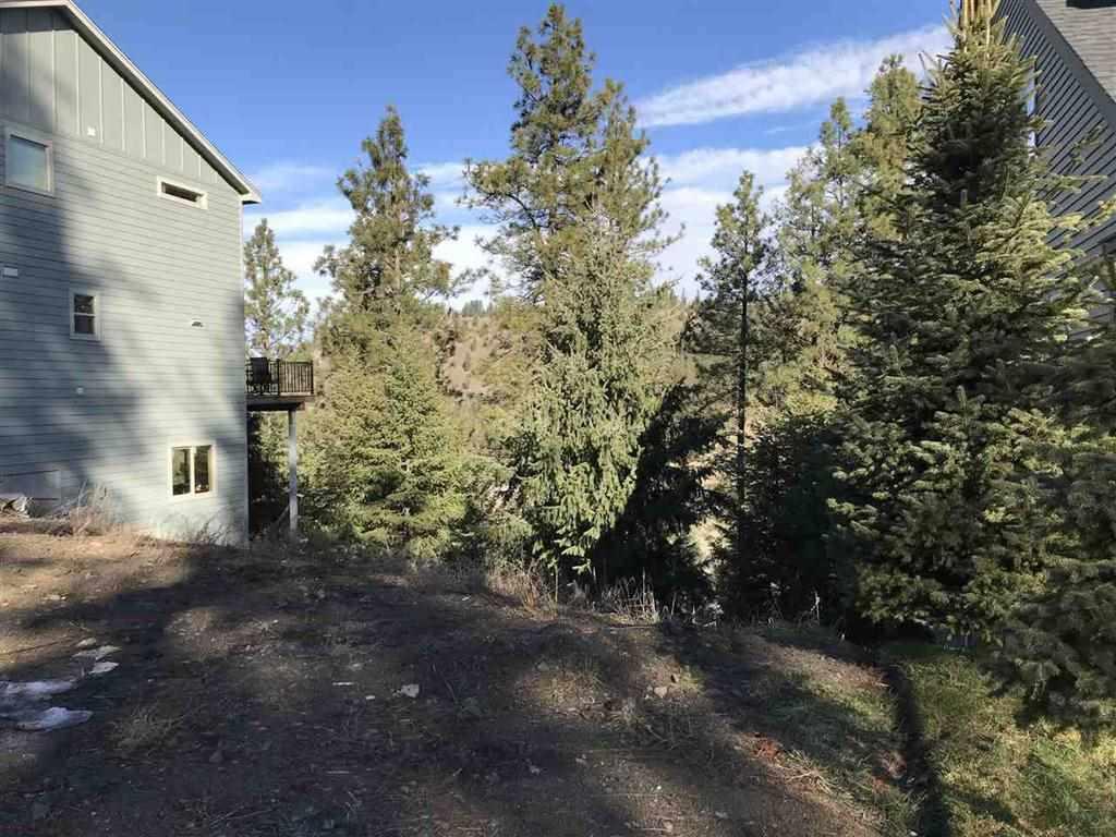 818 Qualchan Ln - Photo 1