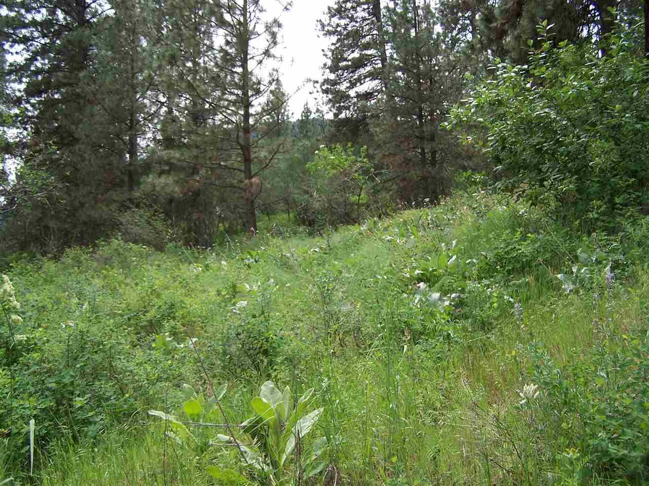 23XX Northport Flat Creek Rd - Photo 1