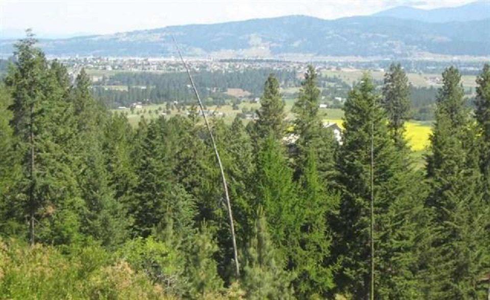 0xxx Bridle Trail Ln - Photo 1
