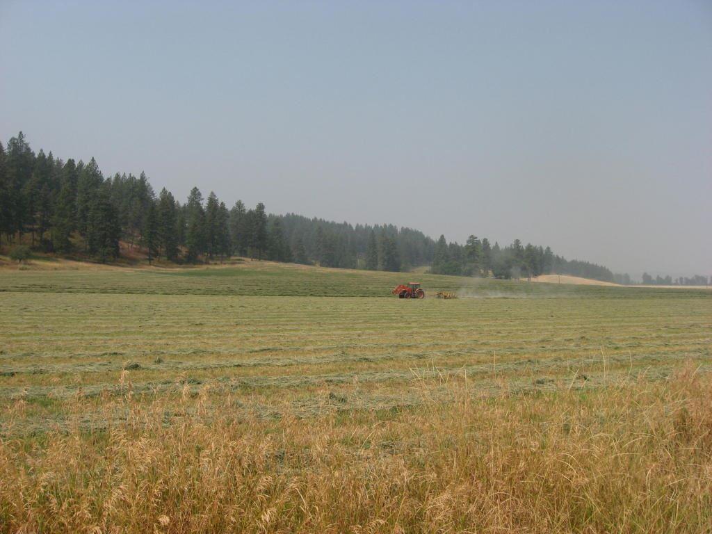 16XX A Zimmer Rd - Photo 1