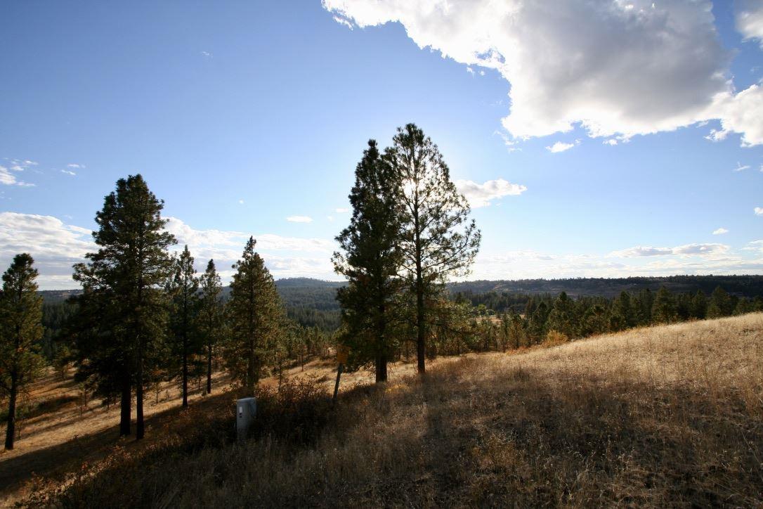 12224 S Valley Chapel Rd Approx Valleyford Wa 99036 201825250