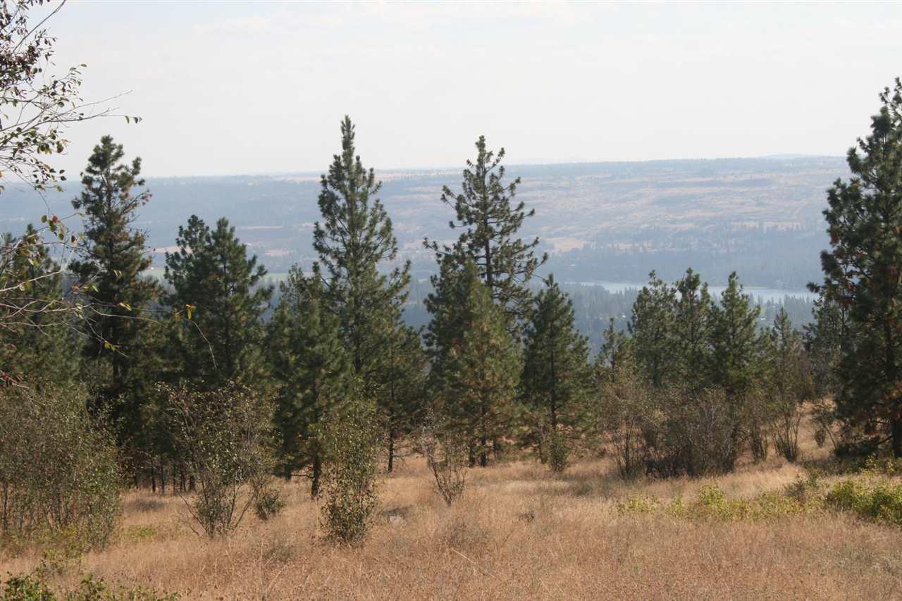 XX Saddle Mountain Way - Photo 1