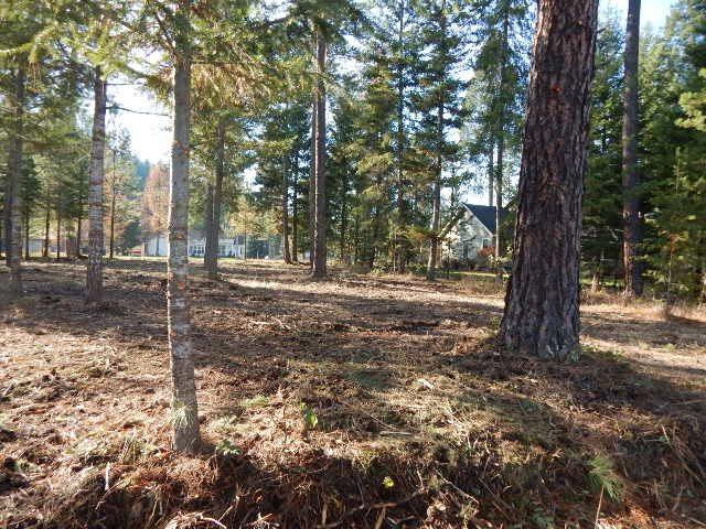843 Hogans Way - Photo 1