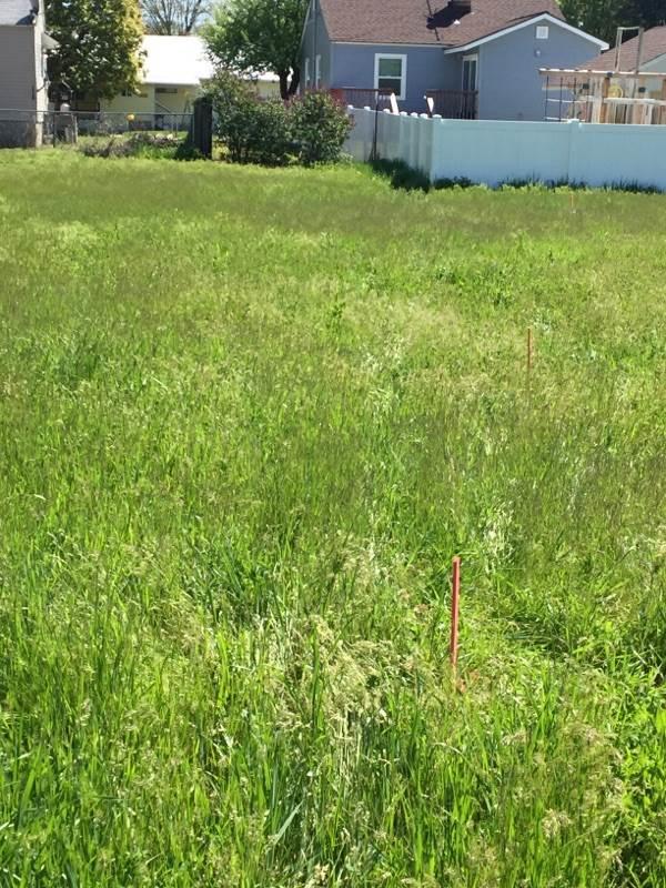14400 Heroy Ln - Photo 1