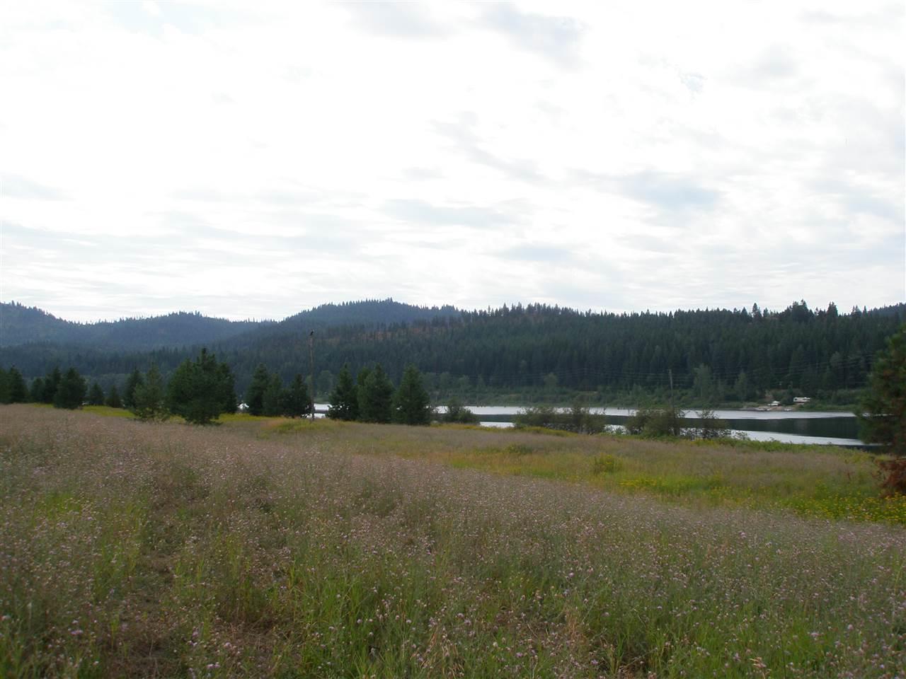 802 Open Skies Rd - Photo 1