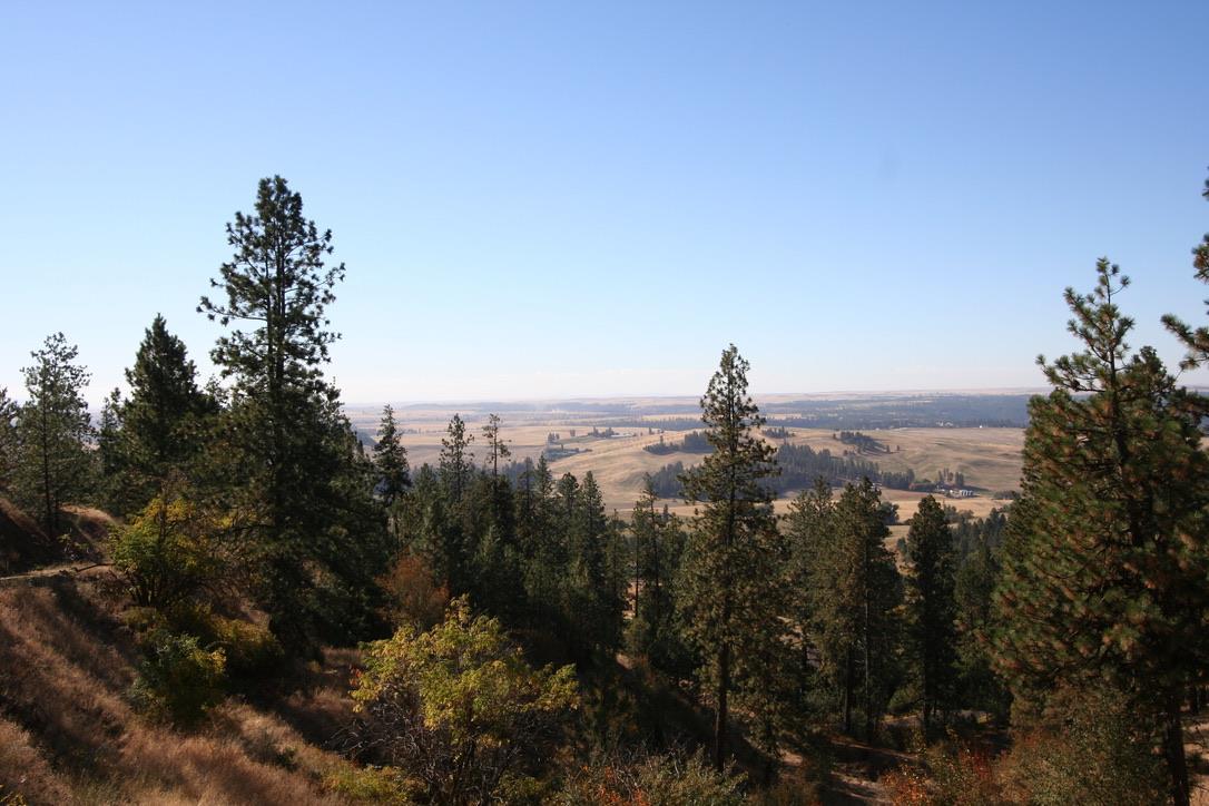6523 Big Rock Rd - Photo 1