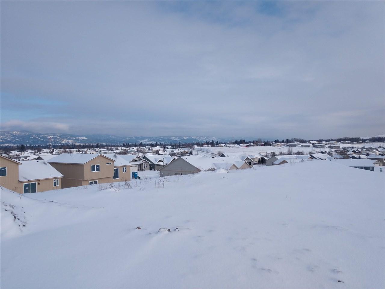 1520 Chapman Rd - Photo 1