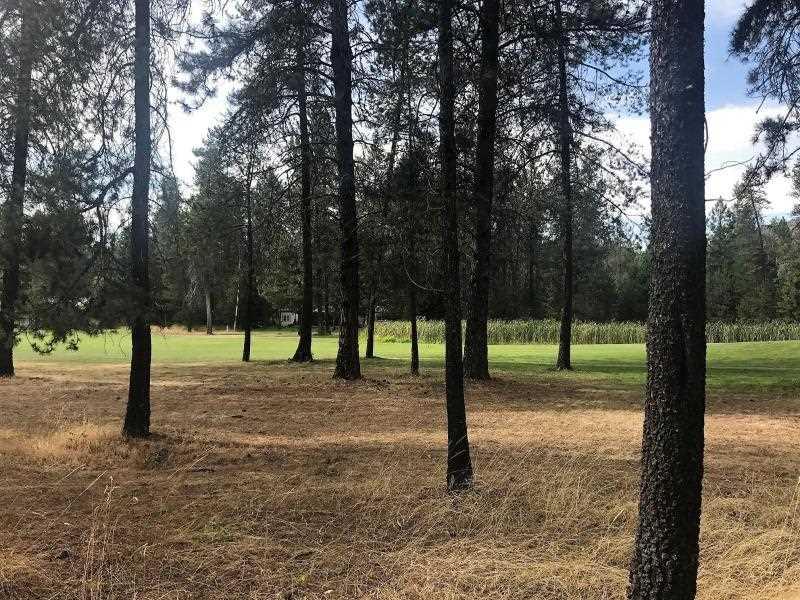 202 Eagle Dr - Photo 1