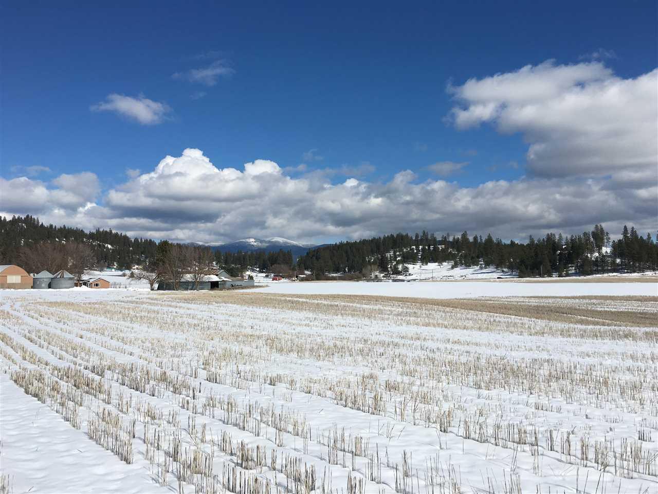 8704 Big Meadows Rd - Photo 1