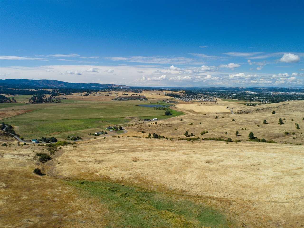 Lot 8 Molter Rd - Photo 1