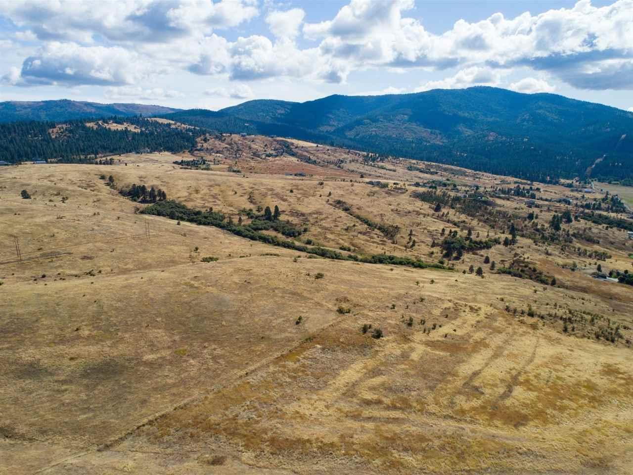 Lot 9 Molter Rd - Photo 1
