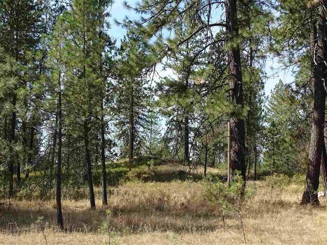 000 Bridges Rd - Photo 1
