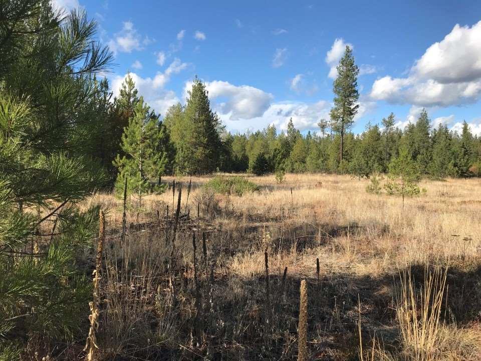 Lot 7 Woods Way - Photo 1