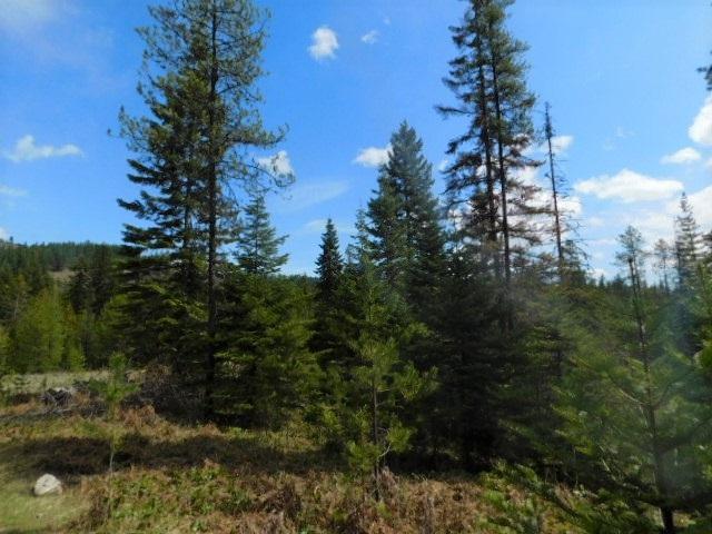 397785-B 20 Hwy - Photo 1