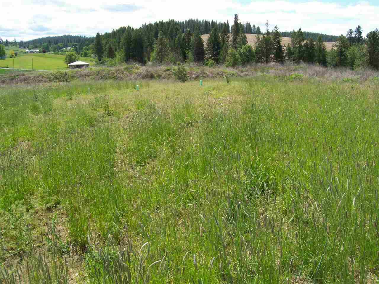 291 Diamond View Way - Photo 1