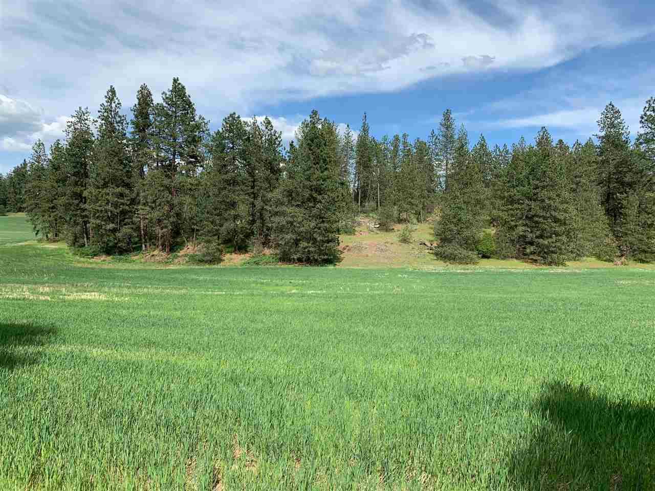 6410 Old Argonne Rd - Photo 1