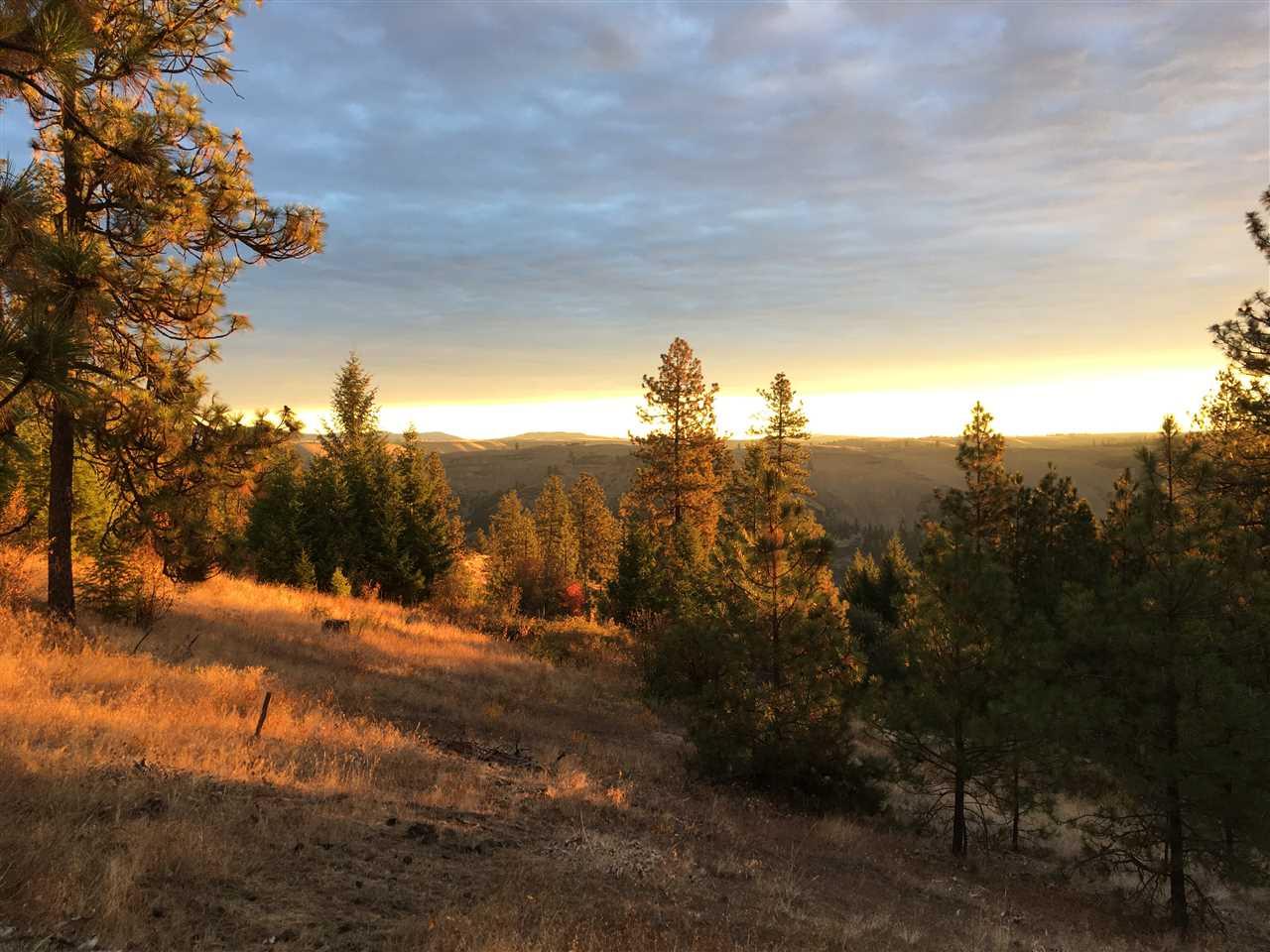 31273 Ruffed Grouse Dr - Photo 1