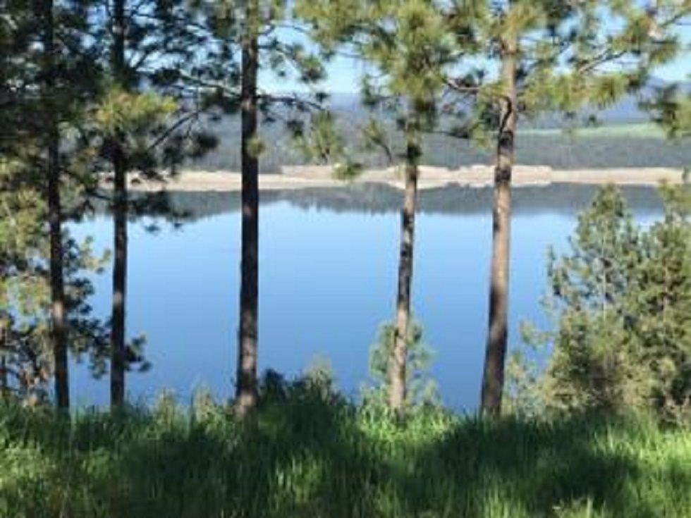 LOT 1 Vista Ridge Way - Photo 1