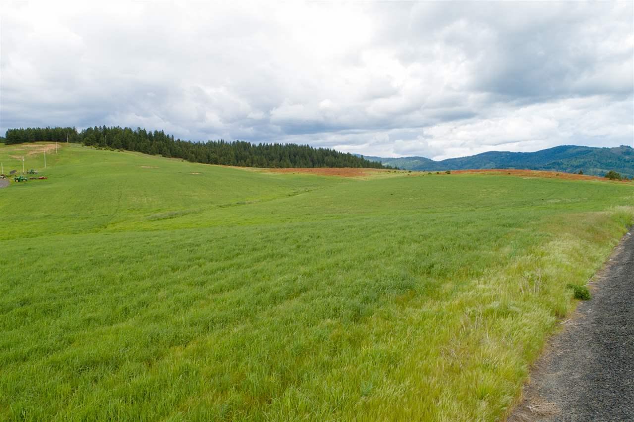 Lot 11 Elder Rd - Photo 1